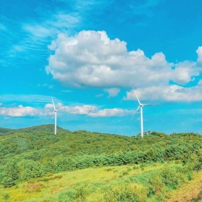 完售物语内购破解版下载