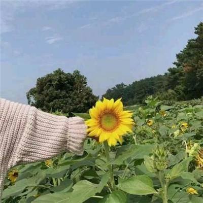 父亲节密室逃脱手游下载
